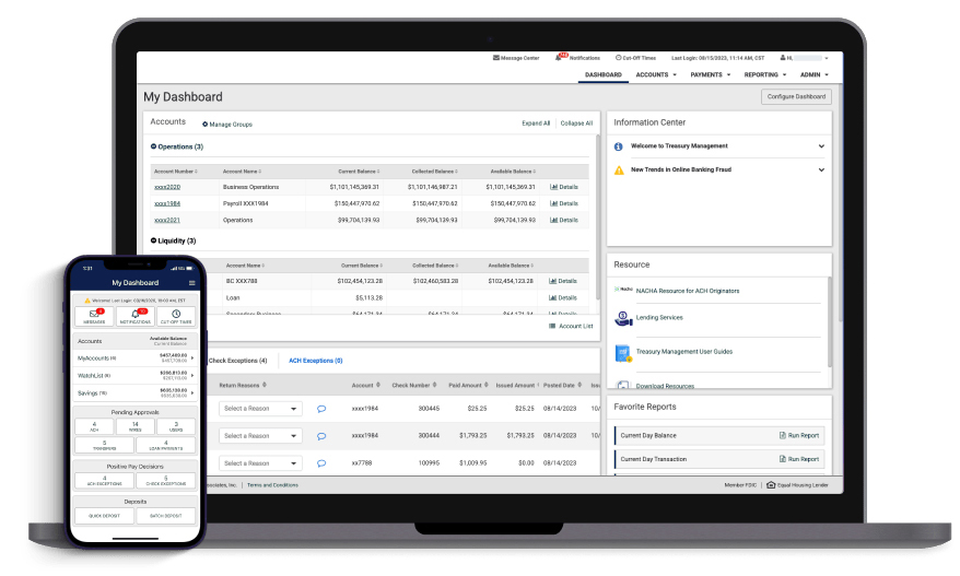 treasury management remote access visualization