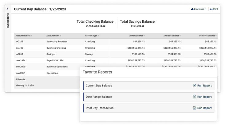 treasury management financial reporting screen